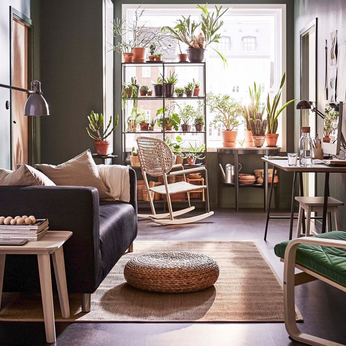 Living room with dark, earthy green walls, several pot plants and a black KLIPPAN sofa.