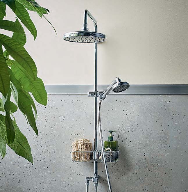 A rose shower head against a grey and cream wall. There is a plant to the left.