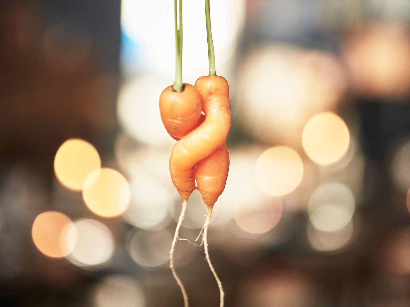 Two entwined carrots.