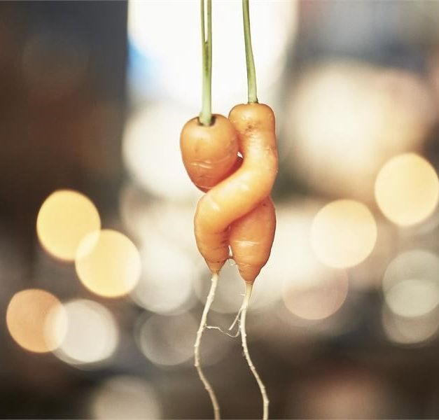 Two small entwined carrots.