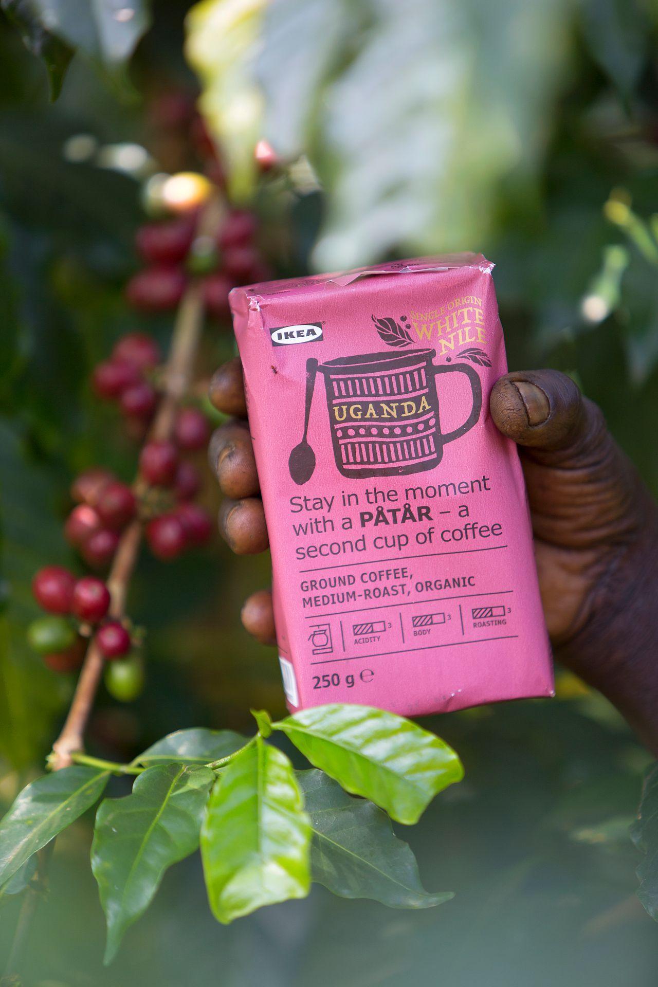 A person's hand holding a pink bag of IKEA PÅTÅR coffee.