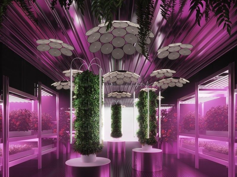 IKEA and Tom Dixon at Chelsea Flower Show - IKEA Global