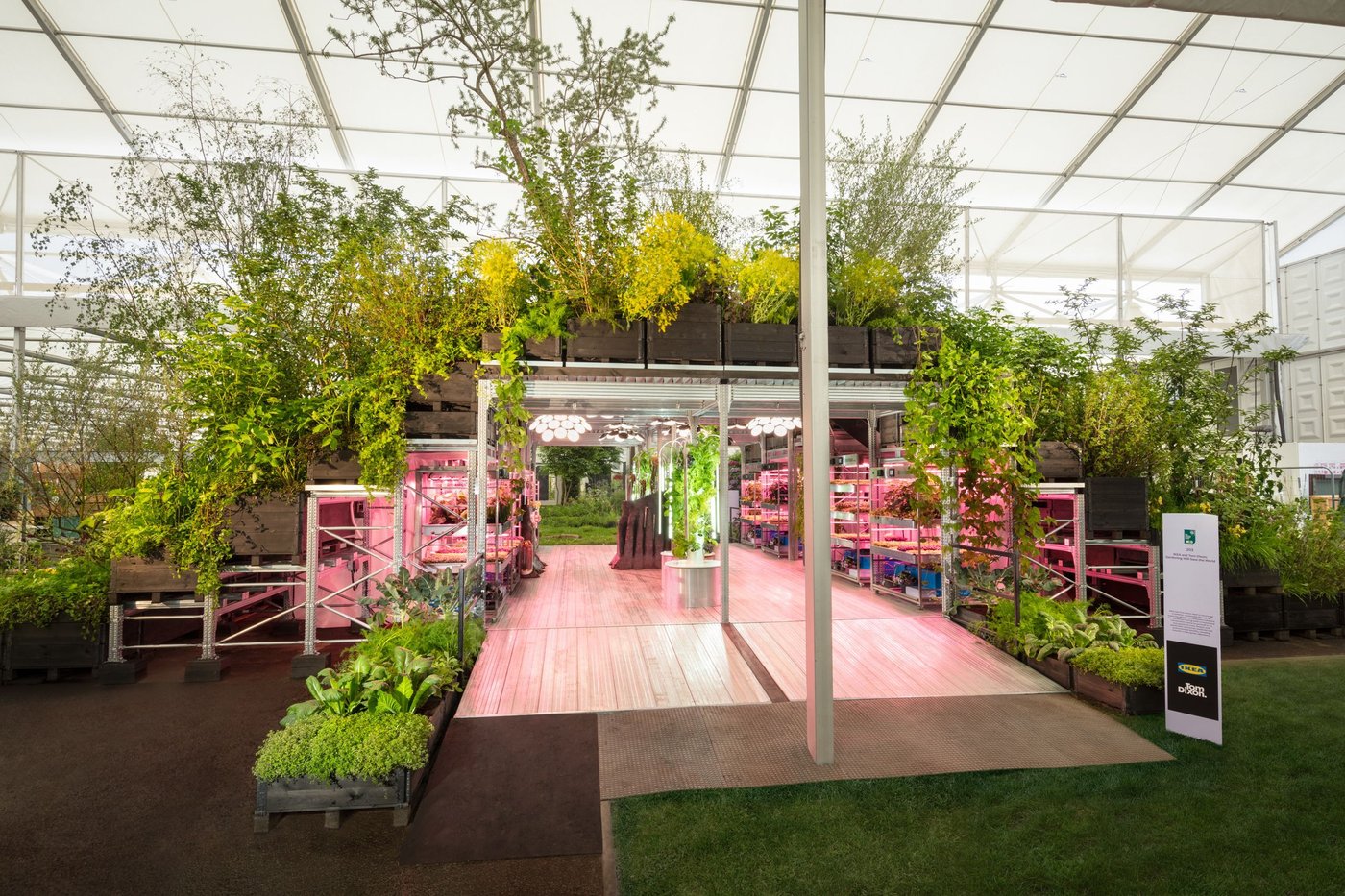 A stand at the Chelsea Garden Show featuring lots of plants and a pink floor.