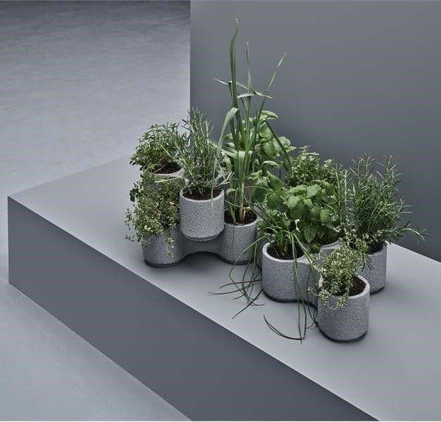 Collection of different pot plants clustered together on a ledge in a clean, light grey space.
