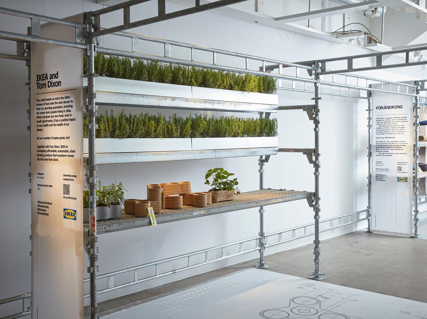 Prototypes of Tom Dixon collaboration displayed on an industrial metal shelving unit with two of the shelves filled with rosemary plants.
