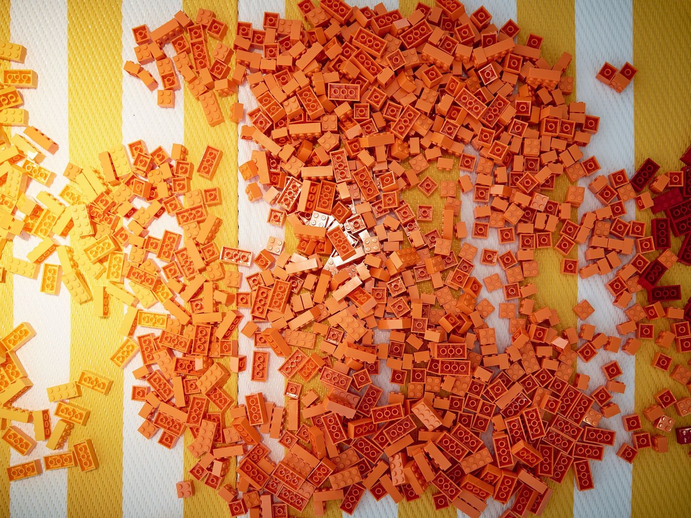 Lots of small orange lego bricks are spread out on a yellow and white surface.