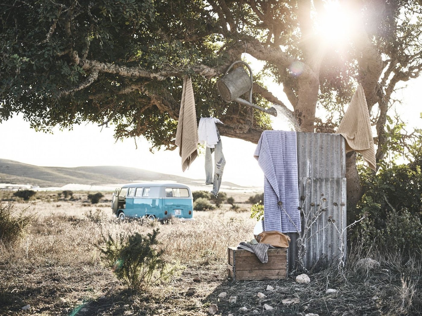 Towels and a watering can hang in a tree on a sunny day. A blue and white camper van is parked further away. The door to the van is open.