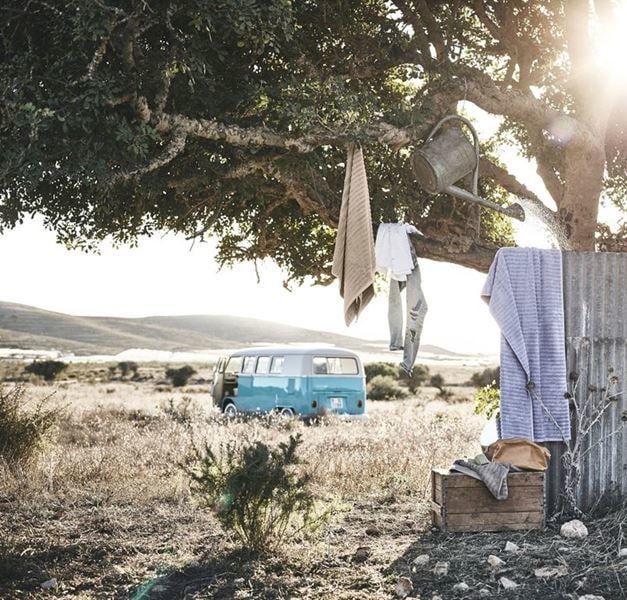 Towels and a watering can hang in a tree on a sunny day. A blue and white camper van is parked further away. The door to the van is open.