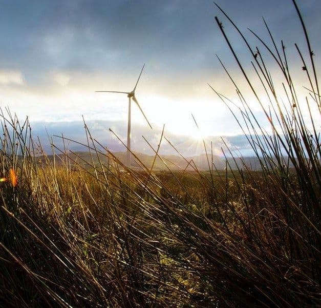 Wind turbine with a cloudy sky and long grass in the foreground.