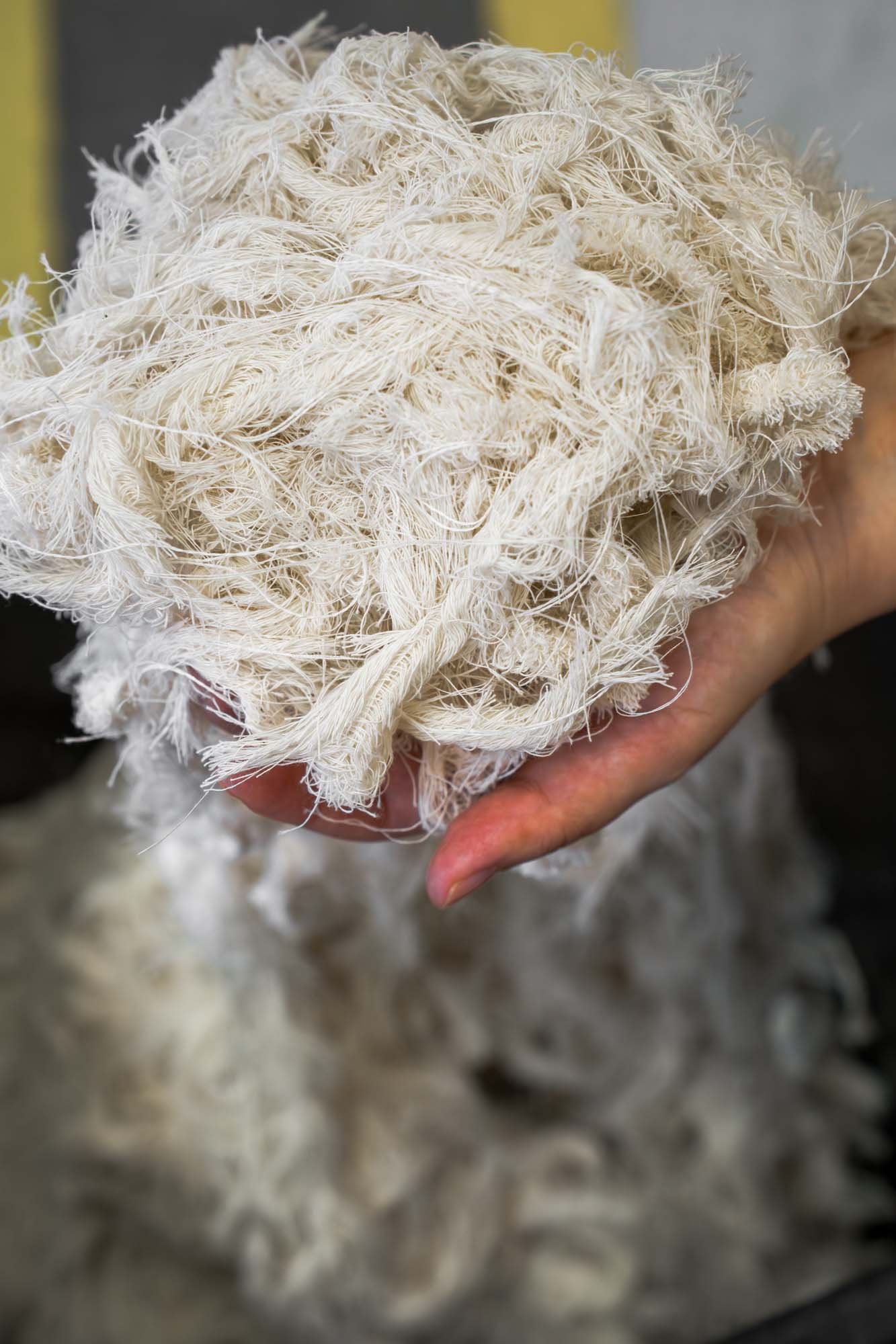 A close-up of a hand holding a ball of white lint.