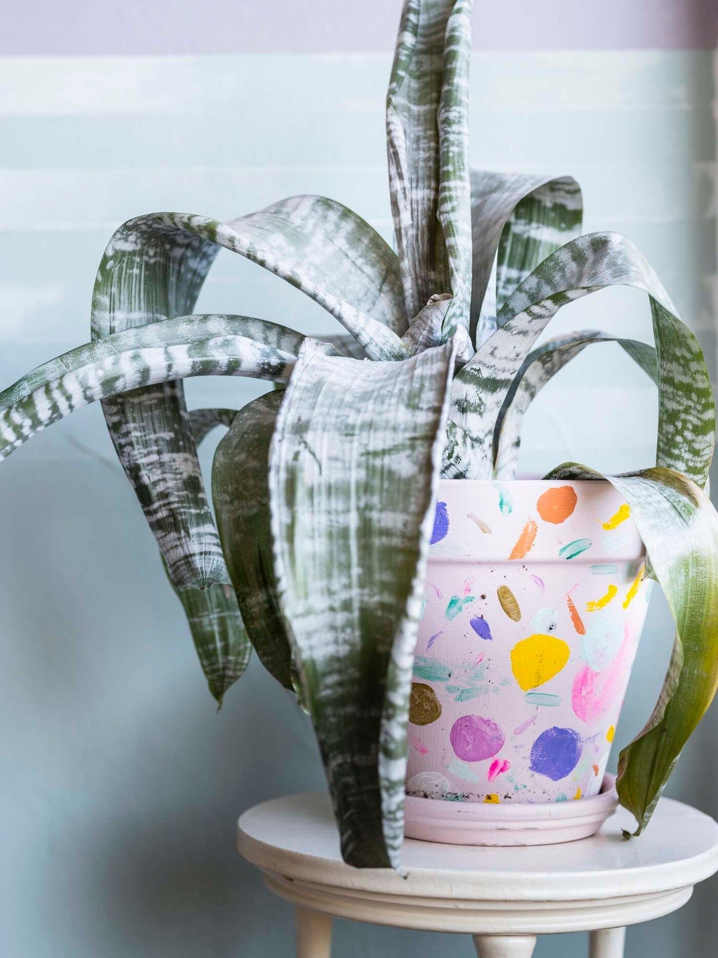 A plant in a painted plant pot on a pedestal in Anais' bedroom.
