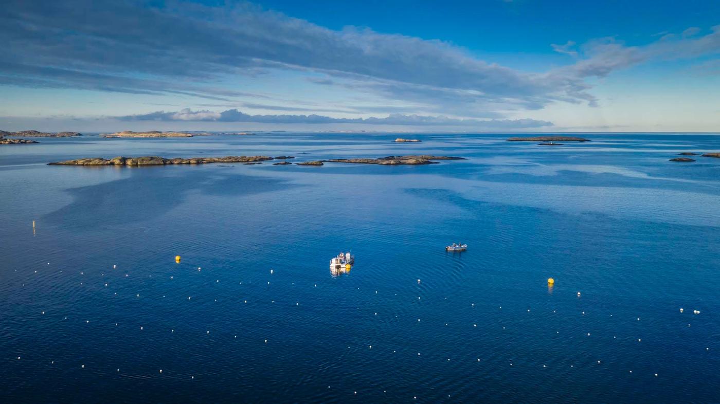 A deep blue oceanic expanse with two boats in the water and land in the distance.