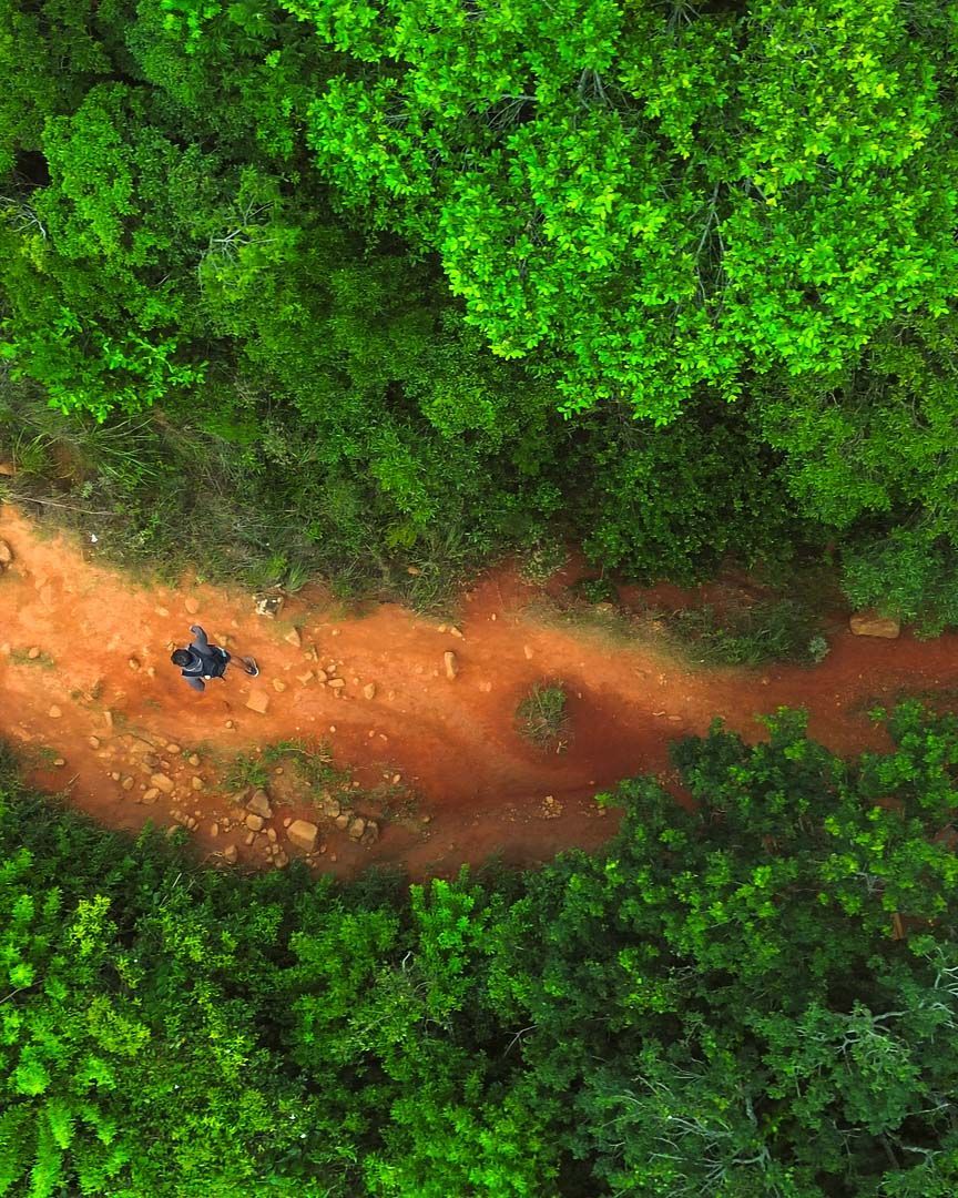 An aerial view of a person walking along a dirt track, with trees on either side.