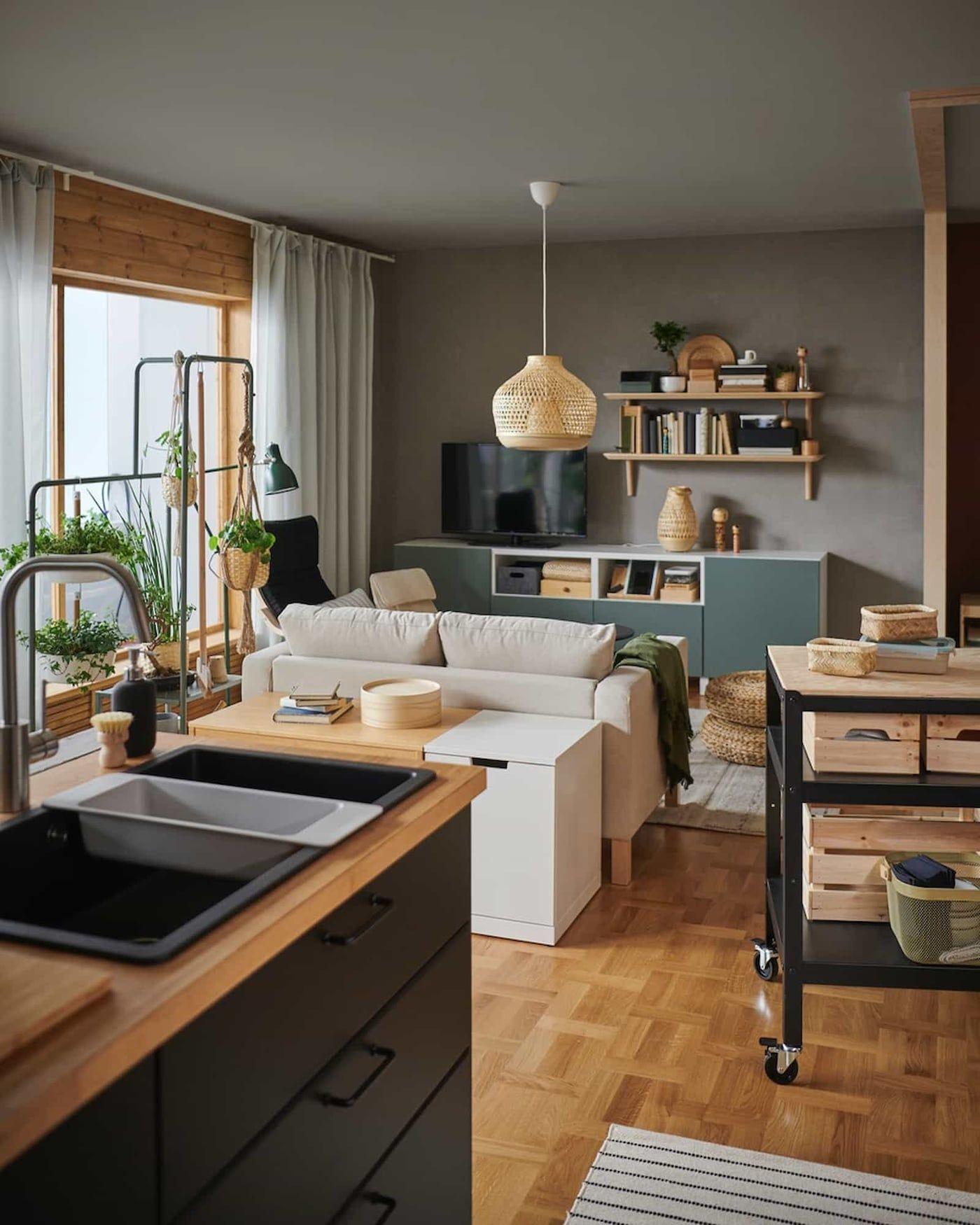 Open plan living room and kitchen area with sink, sofa and units.