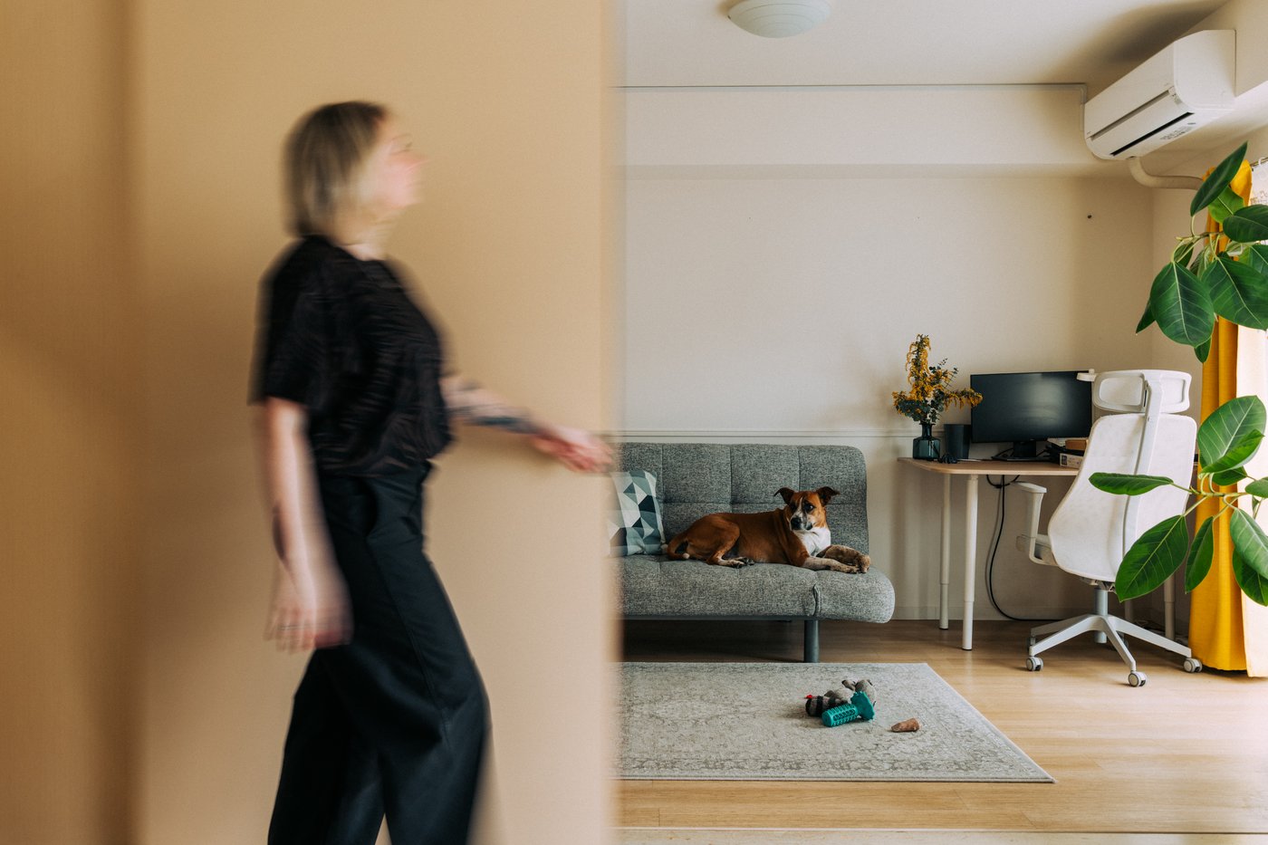 Looking into a room where a dog lounges on a sofa beside a home office, and a blurred person walks across the scene in the foreground.