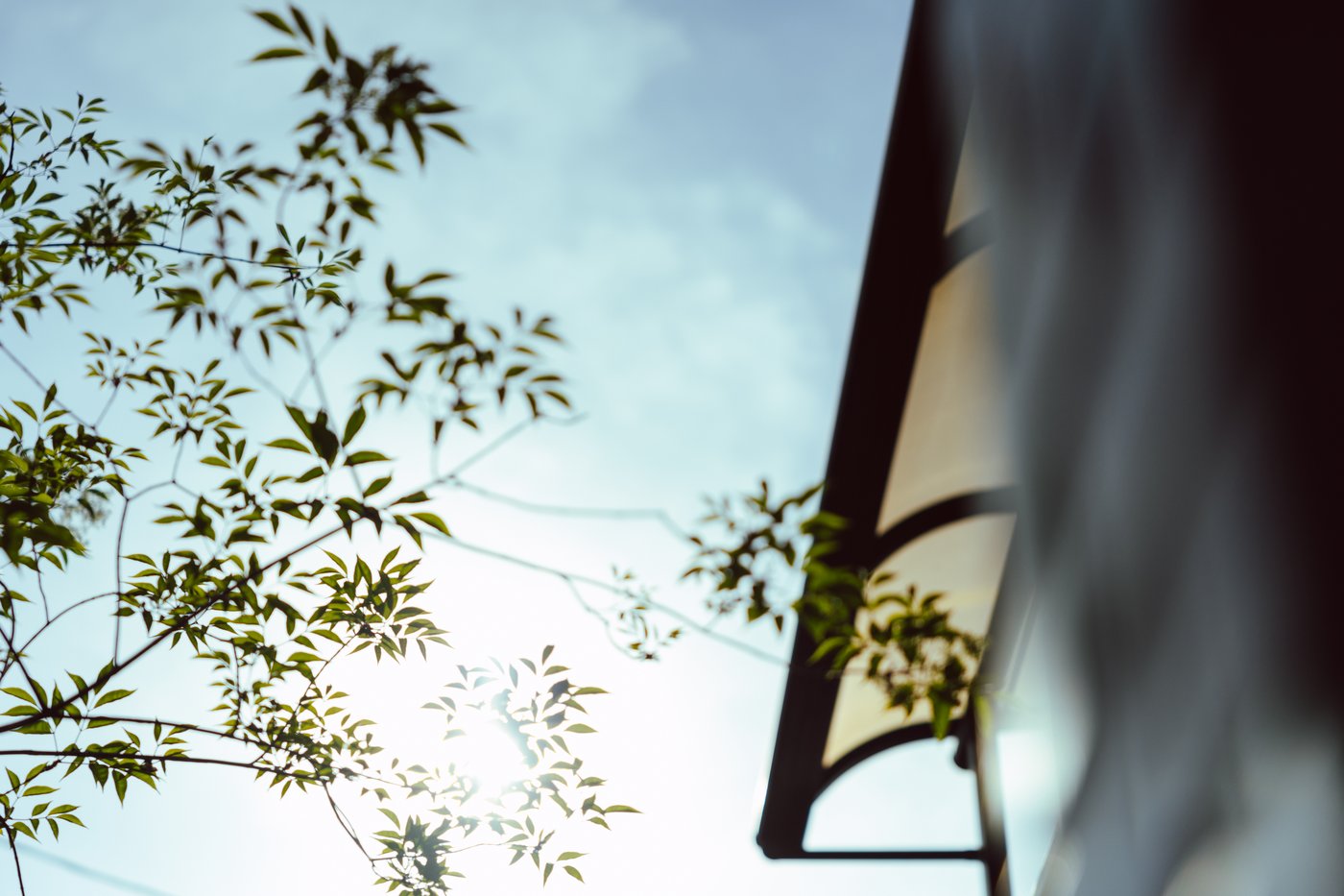 A dramatic sky with the branches of a tree and edge of a building. 