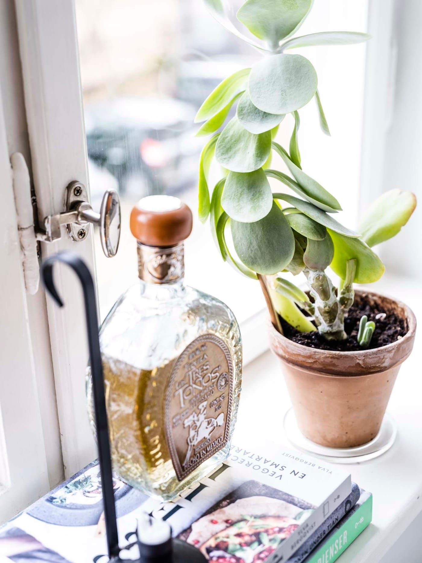 A glass bottle, books and and pot-plant on a windowsill.