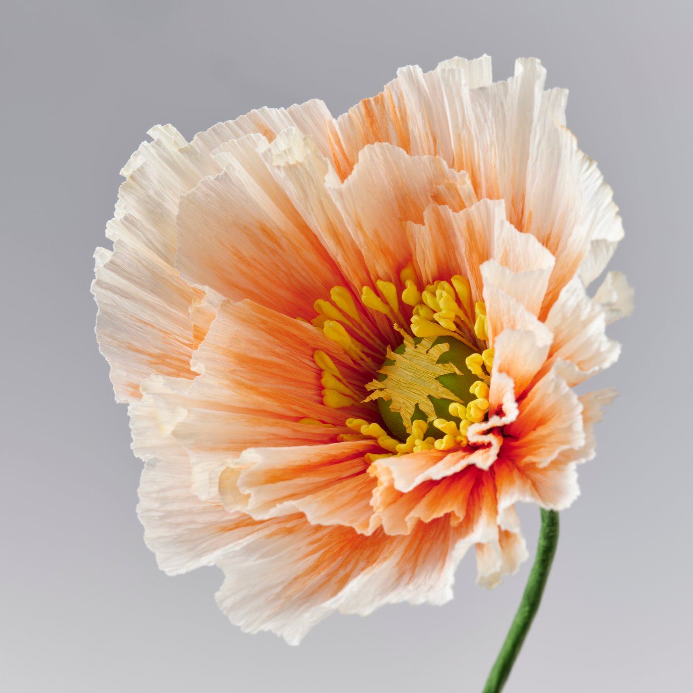 Close up of a light orange poppy from the GULDSPETT series of paper flowers.