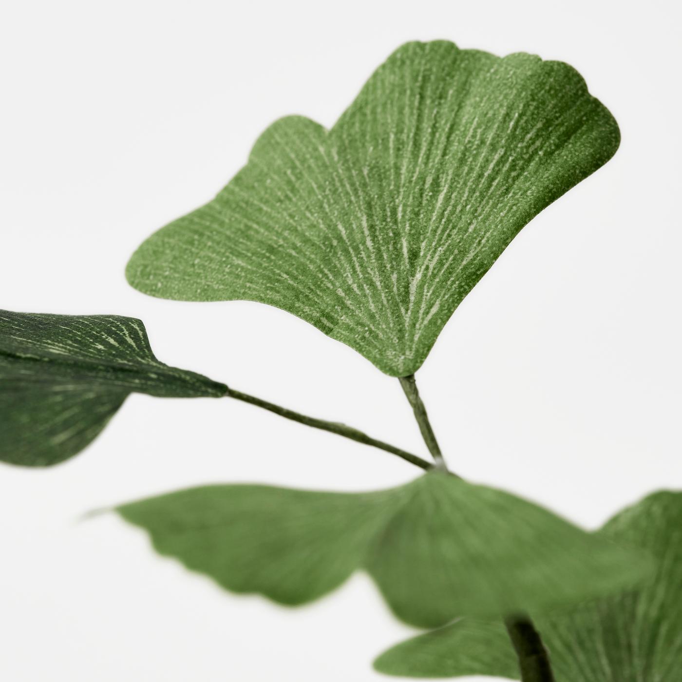 A close-up of a GULDSPETT green artificial Gingko plant.