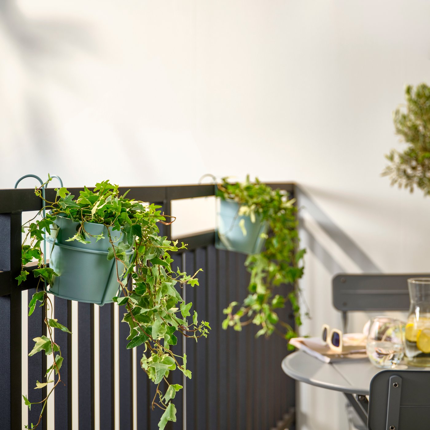 Two window boxes filled with hanging ivy are attached to the railings of a balcony.
