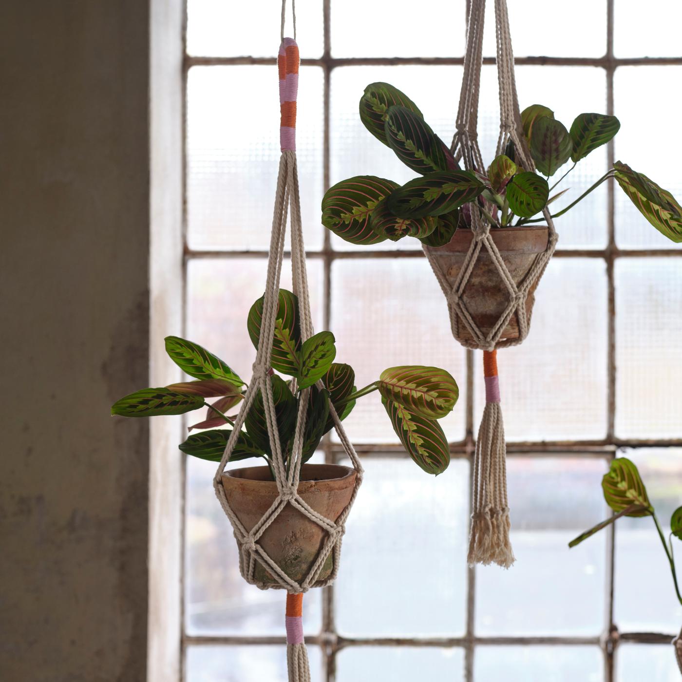 A close up of the handcrafting plant hanger from this MÄVINN collection.
