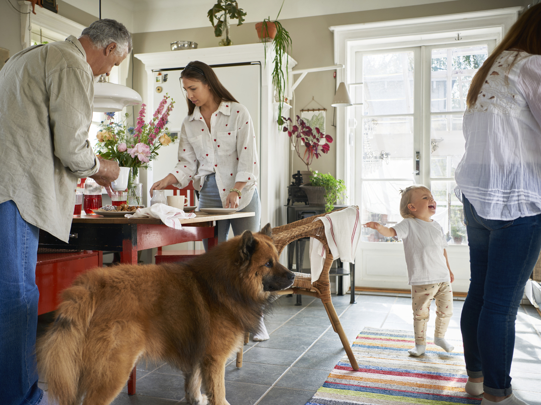 A family in the kitchen, with their dog in the foreground.