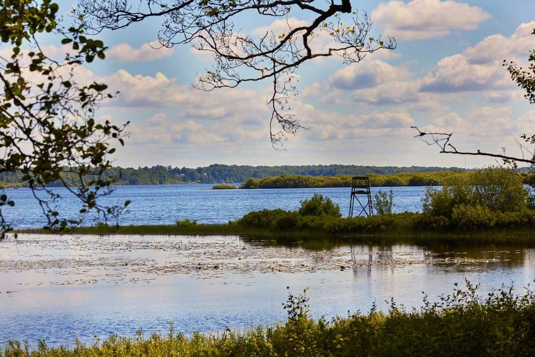 A natural conservation area with water and small green islets. There is a viewing tower on one green area. There are lots of birds on the water.