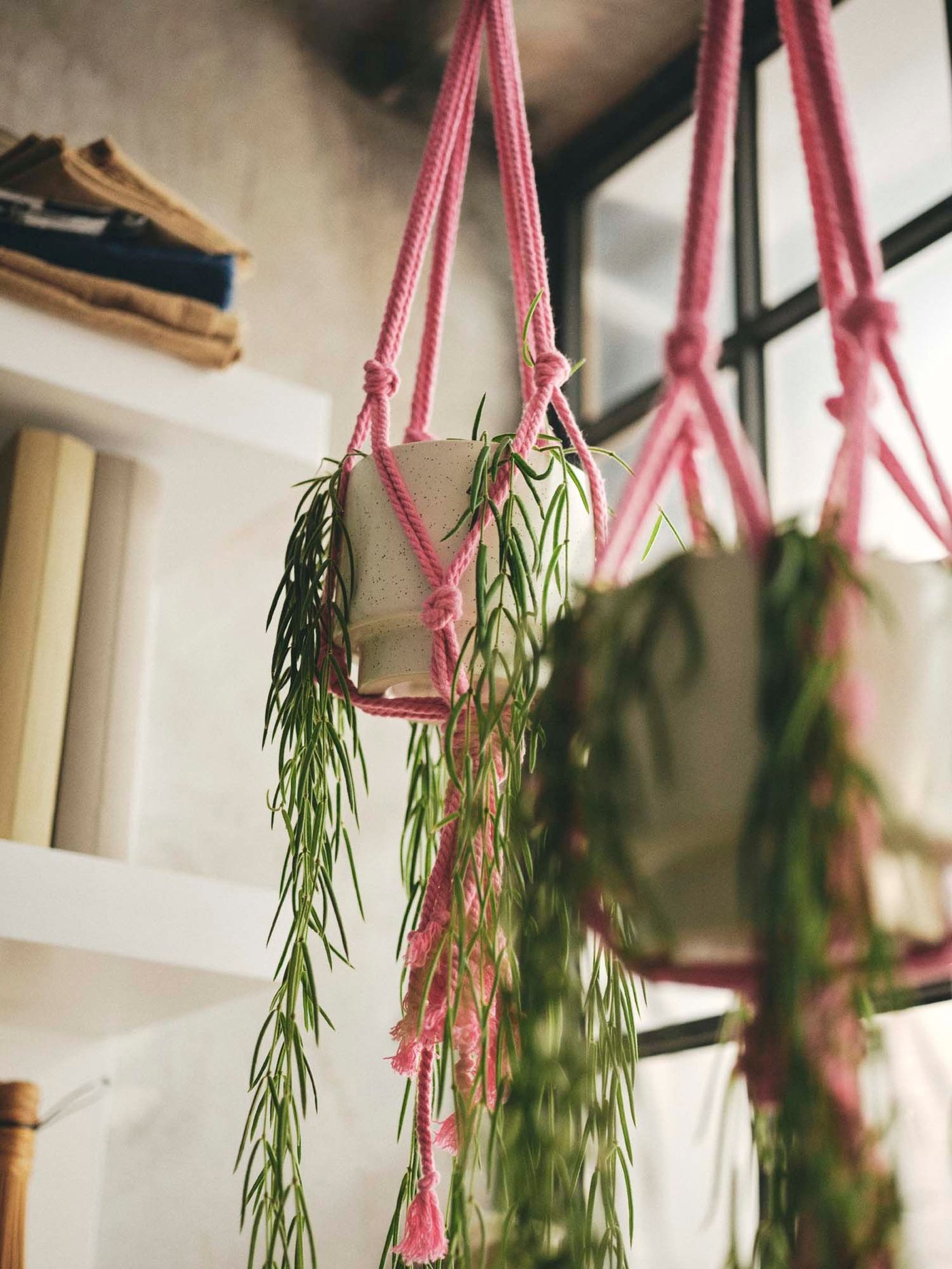 Two pink plant hangers with plants hang above.