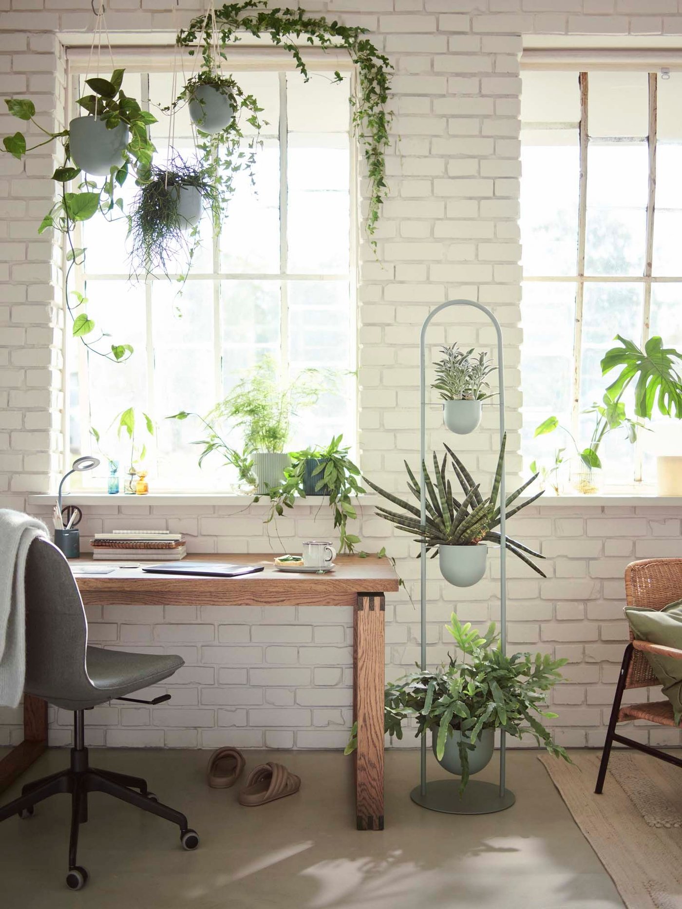 Plants in DAKSJUS plant containers surround a desk in a white brick room with windows.
