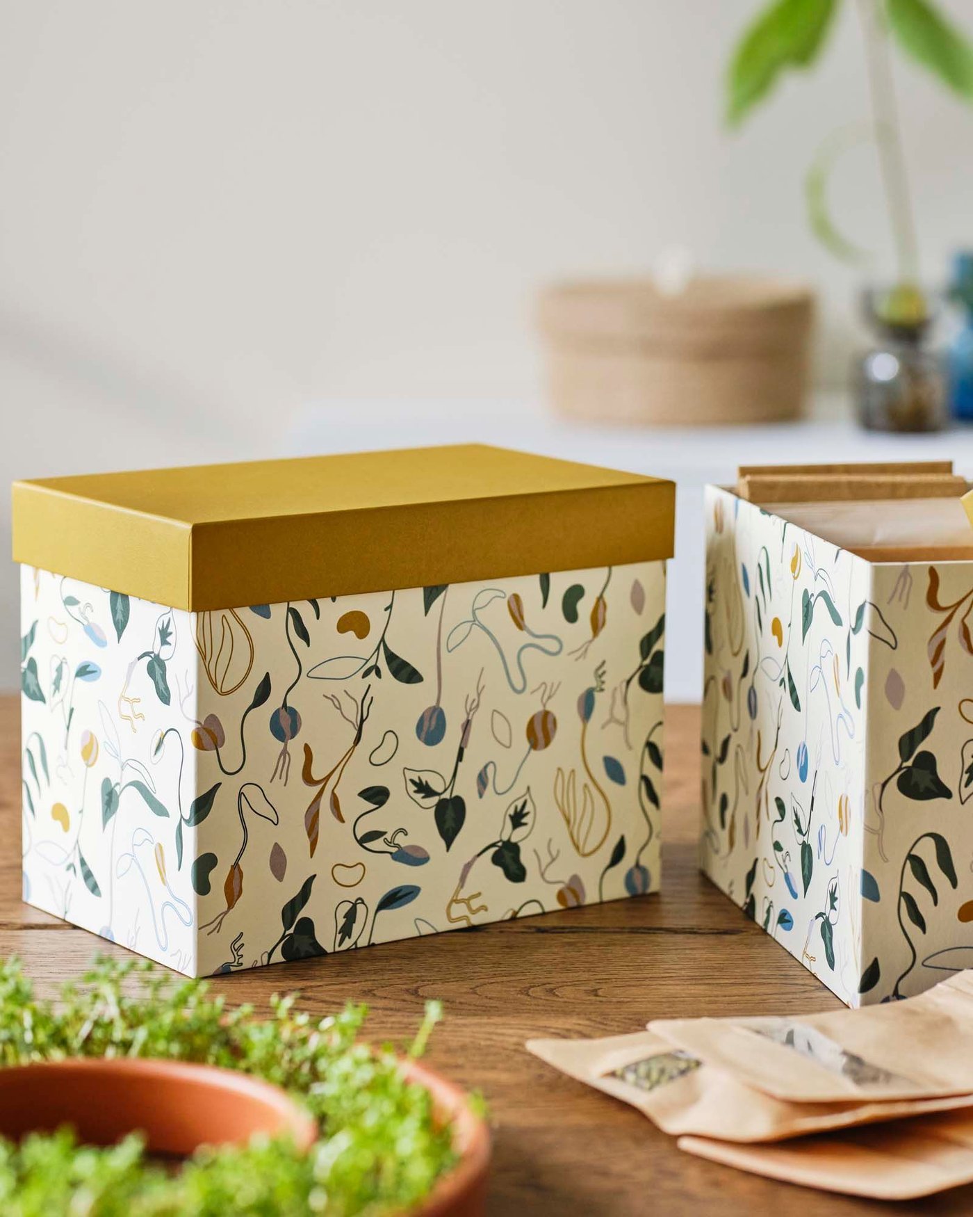 Two patterned boxes with ochre coloured lids sit on a table, next to seeds and seedlings.