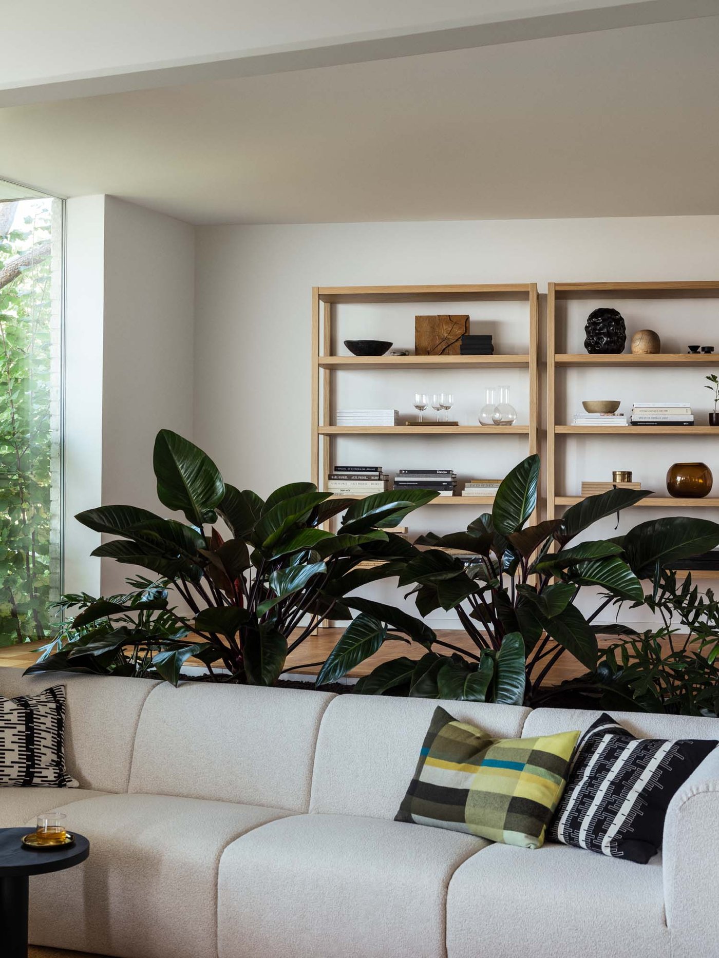 A living room with a sofa and shelving. Behind the sofa are large green leafy plants.