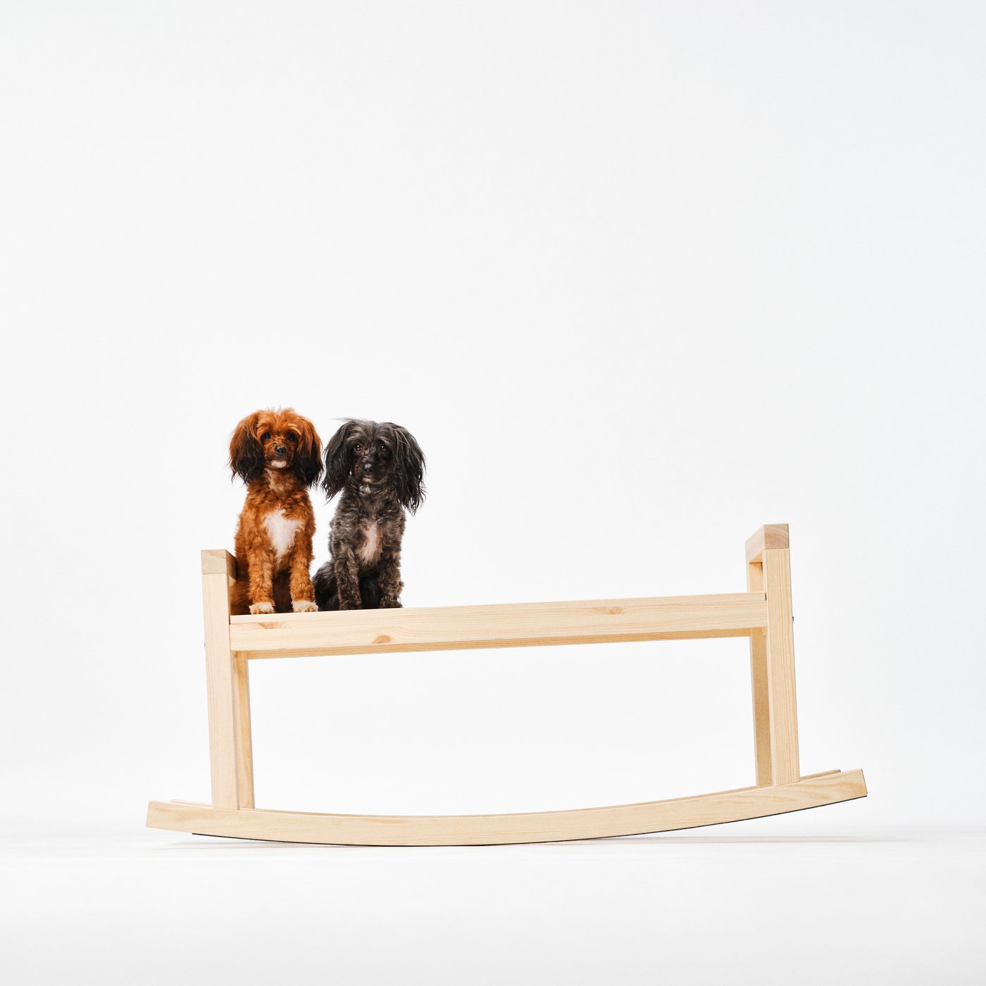 Two small dogs sitting side by side on a simple wooden rocking bench against a white background.