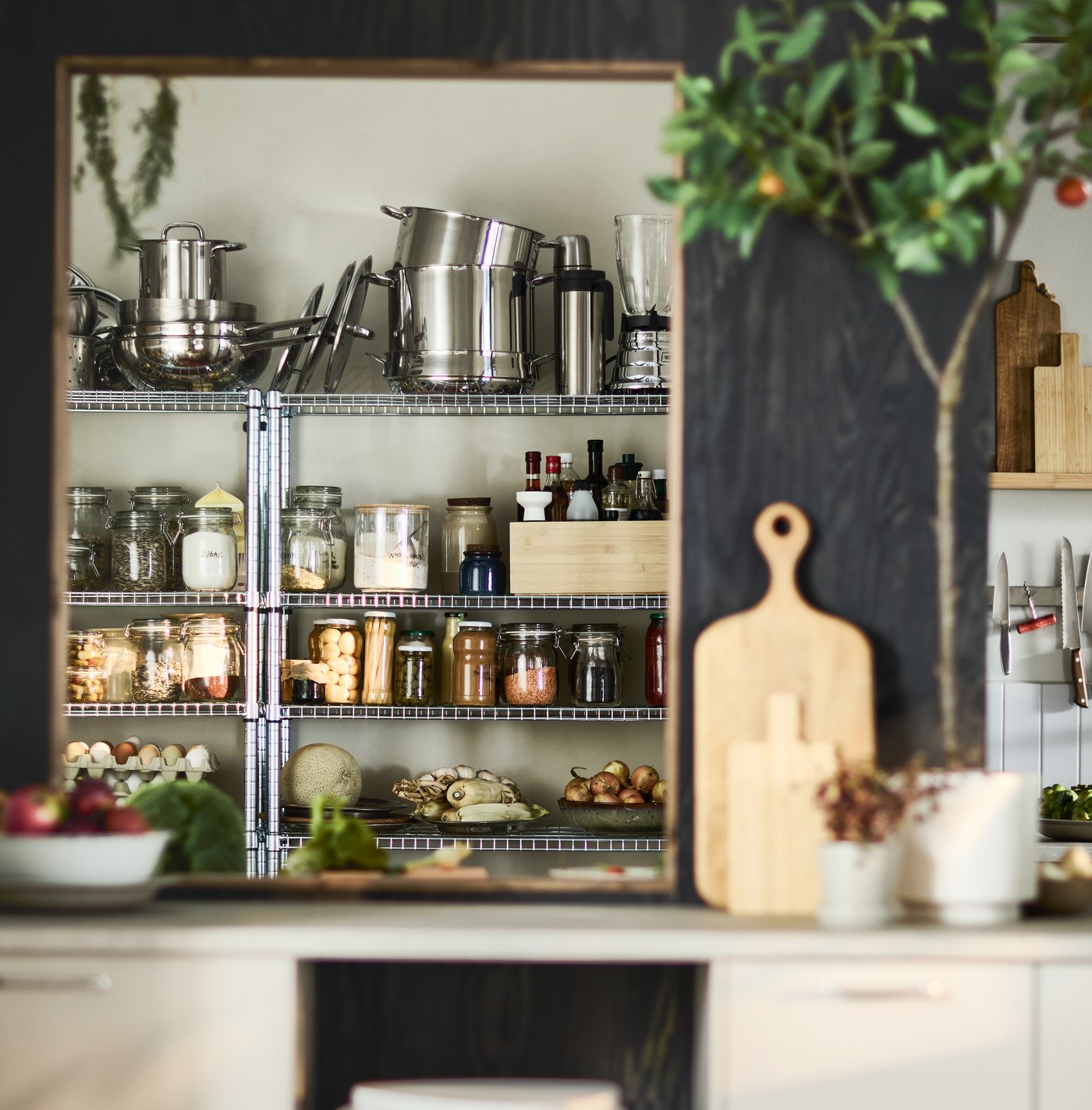A pantry space with OMAR metal shelving units, full of jars, stacked pots, and condiments, tucked behind a kitchen island with a citrus plant and wooden cutting boards on display.