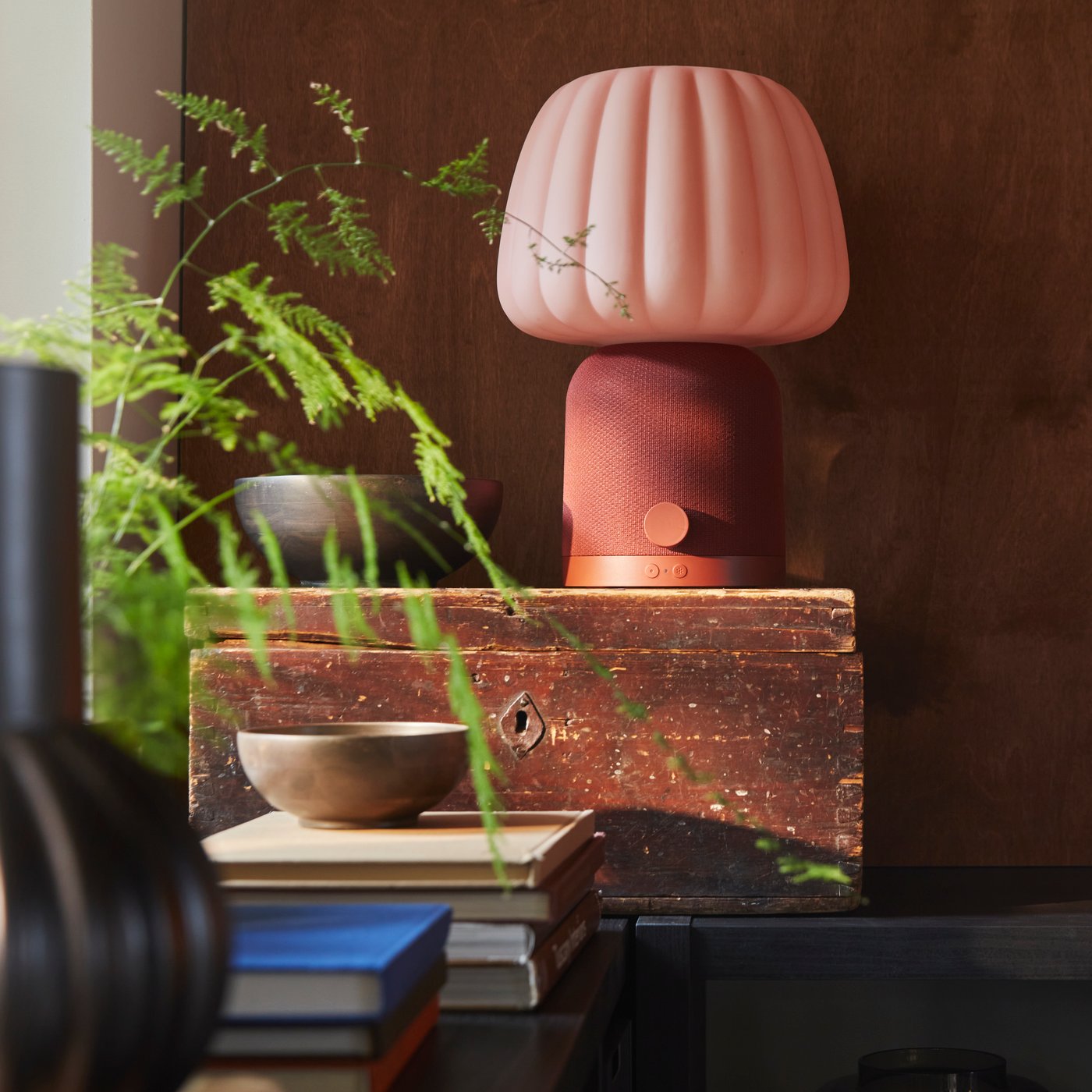 A pink and red lamp sits on a dark wood trunk, with green flora to the left.