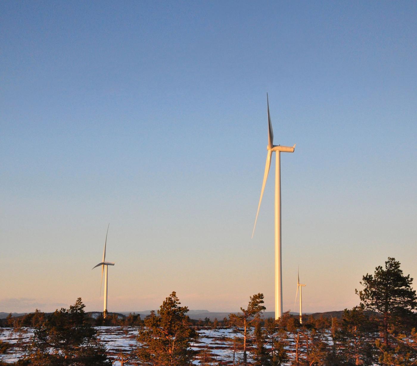 Three windmills with a blue sky and some trees in the foreground. 