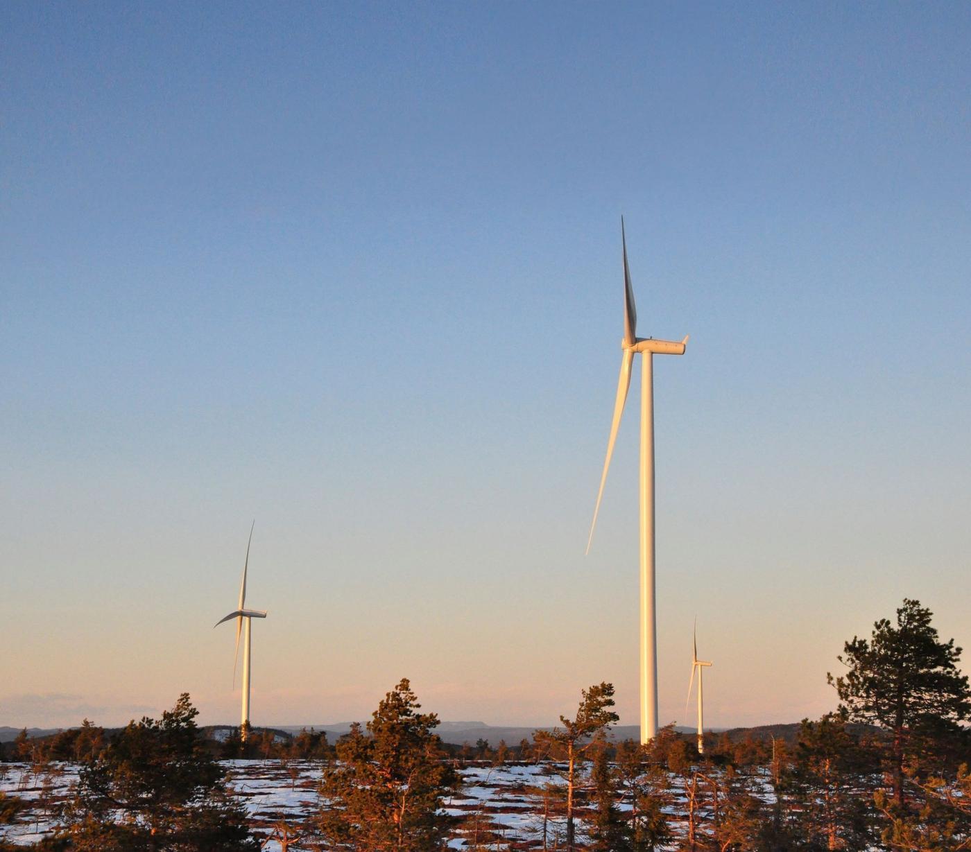 Three windmills with a blue sky and some trees in the foreground. 
