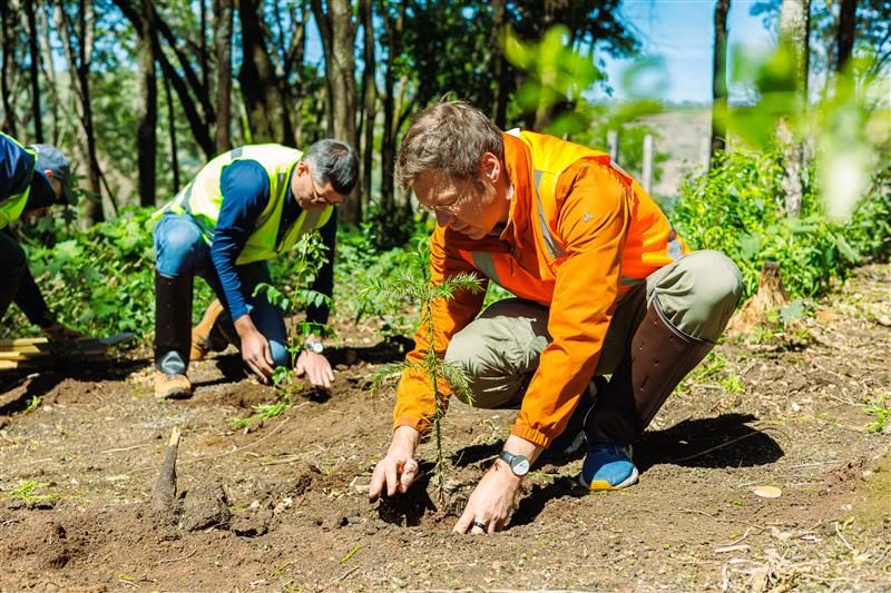Two people in reflective vests plant saplings.
