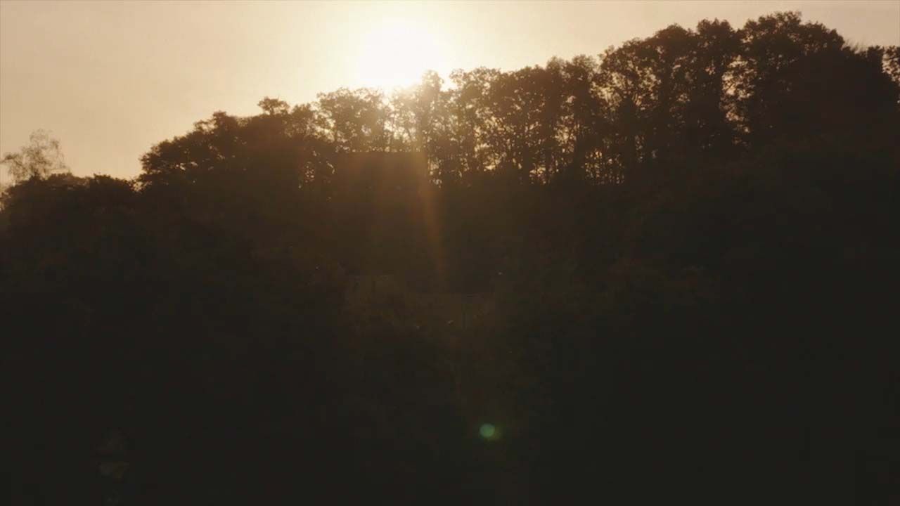 A screenshot showing the sun rising over a forest in France. 