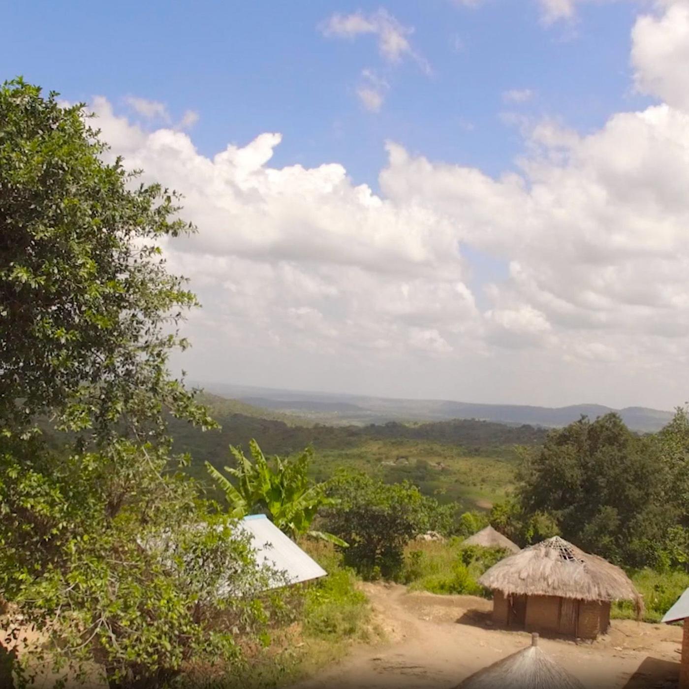 A visit to small-scale coffee farms in Uganda.