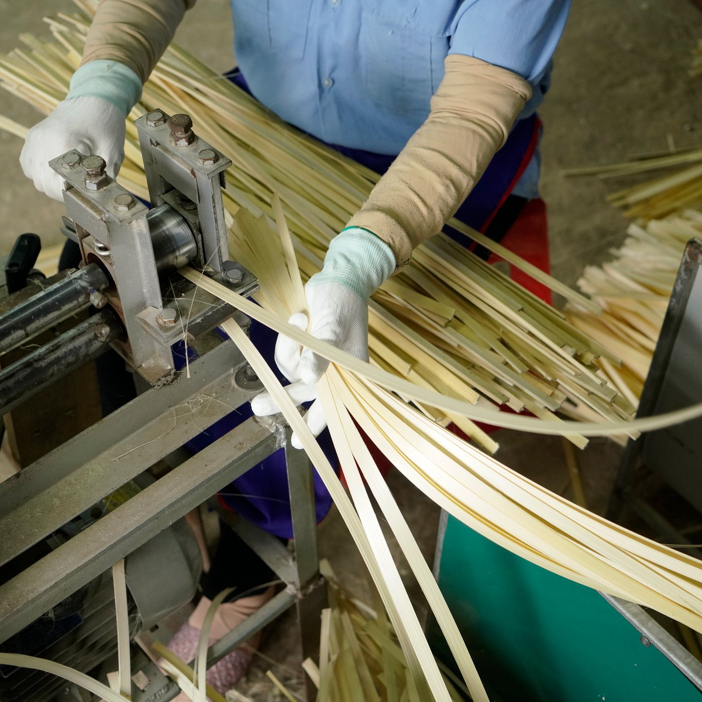 Hands of a person processing strips of bamboo with a machine.
