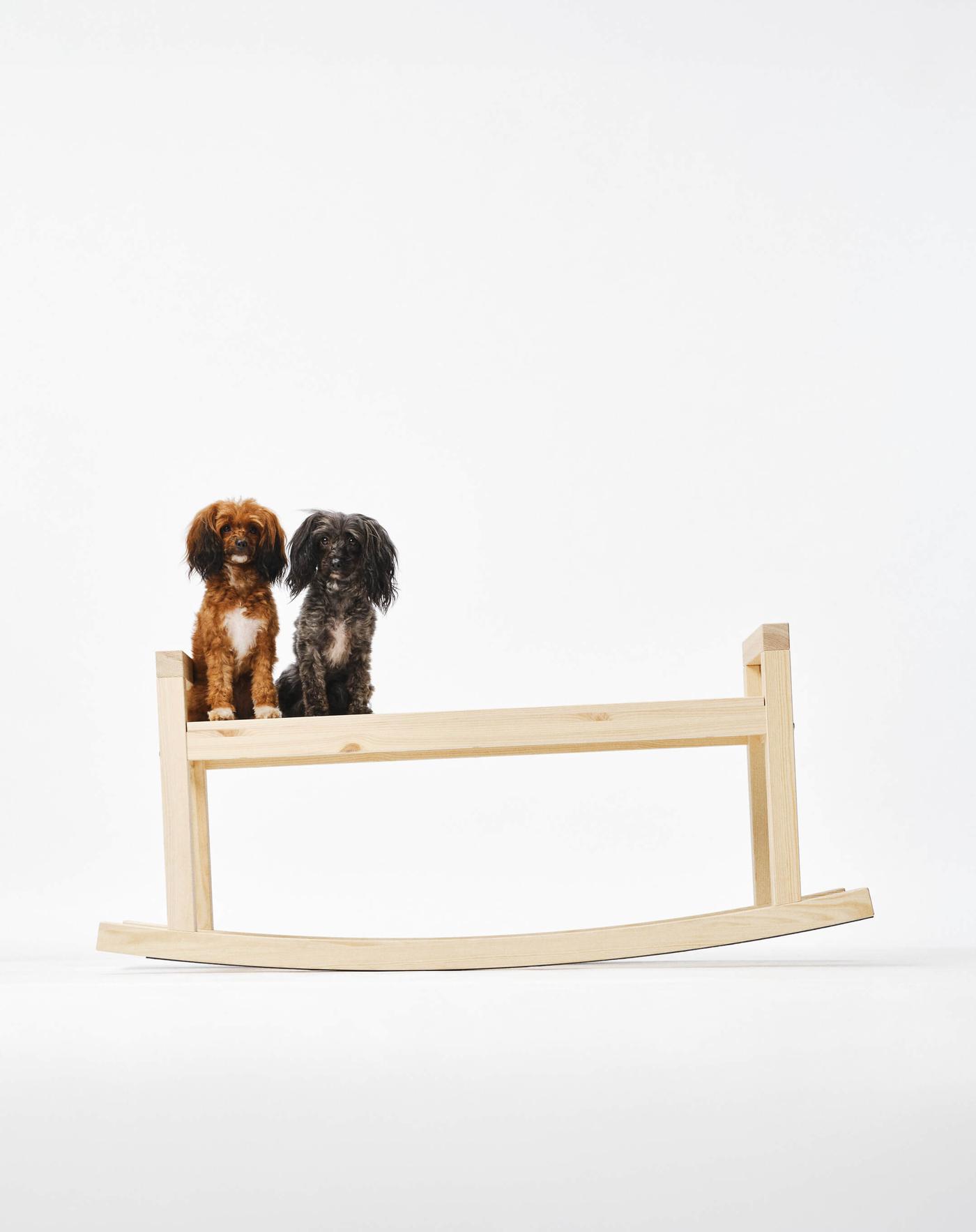 Two dogs sit on one end of the PS 2026 wooden rocking bench against a light grey backdrop.
