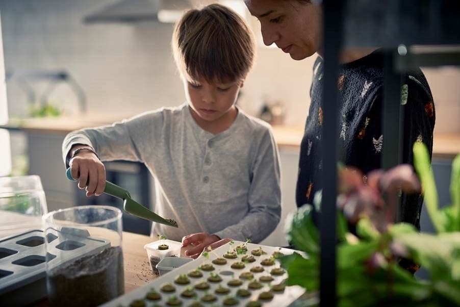 A young boy and his mum planting seedlings while in the kitchen.
