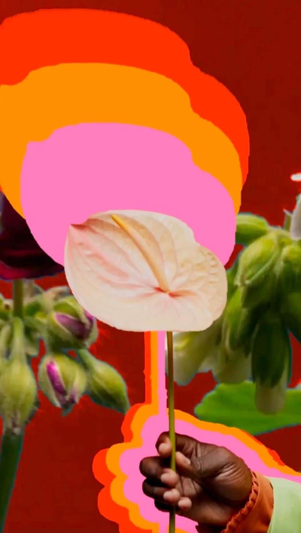A hand holding a flower.