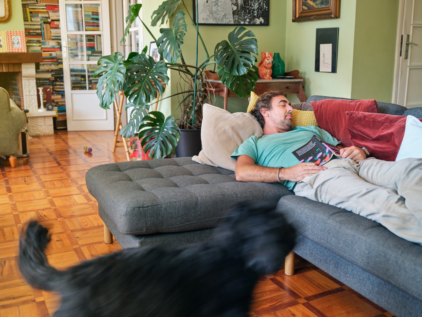 A person naps with their book on a couch in a living room, while a blurred black dog walks by.