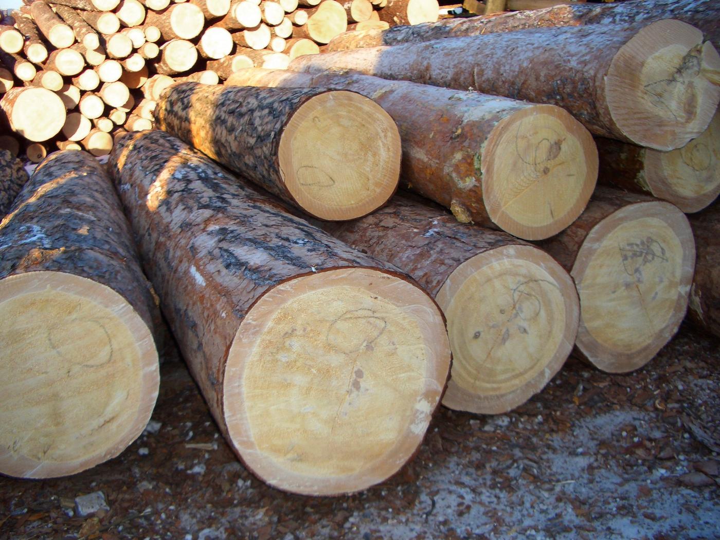 Two large piles of logs in a timber yard.