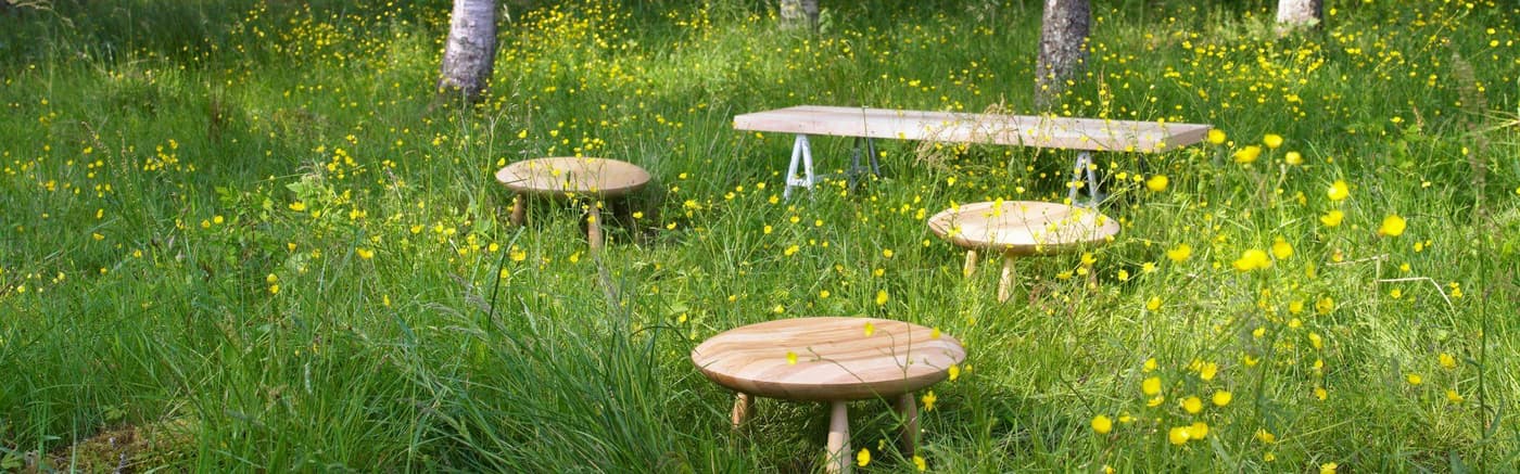 Wooden furniture displayed in a forest setting.