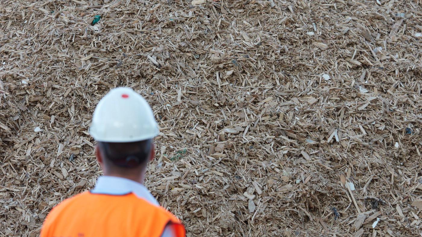A person in a hard-hat and an orange high-visibility vest standing in front of a huge pile of wood chips.
