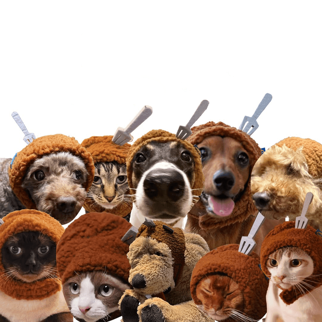 Cutout images of dogs and cats wearing meatball headbands.