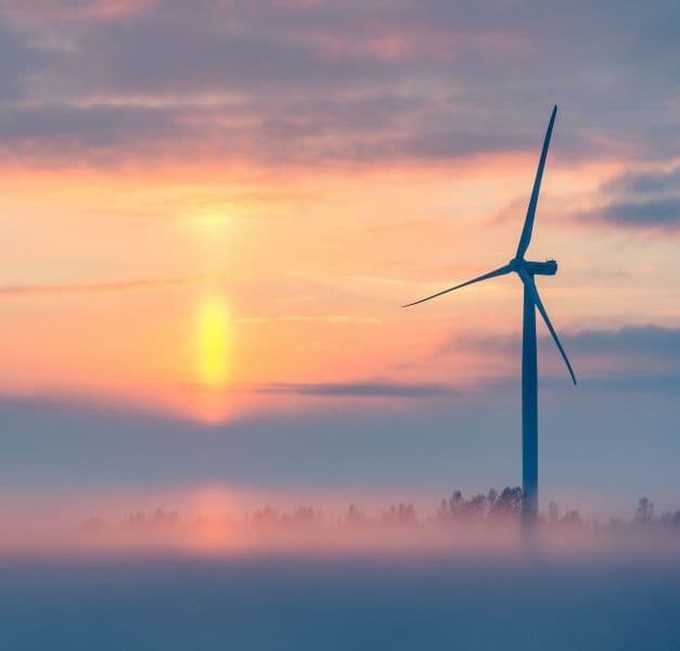 A wind turbine stretching over the tree tops in an open and foggy landscape.