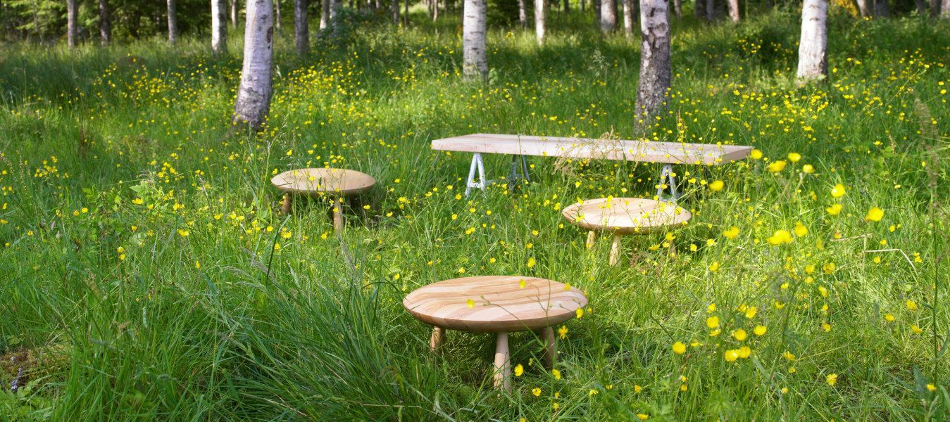 Wooden furniture displayed in a forest setting.